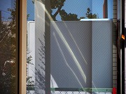 津の何某かなど　2026/03/27