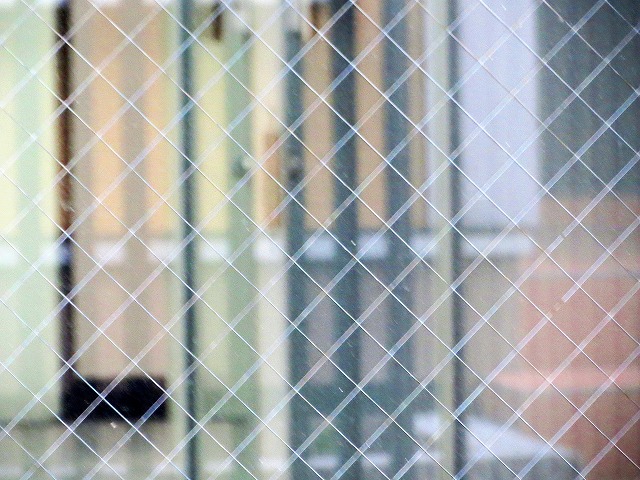 ẪI[I[@Ȃǁ@2025/05/01(1)