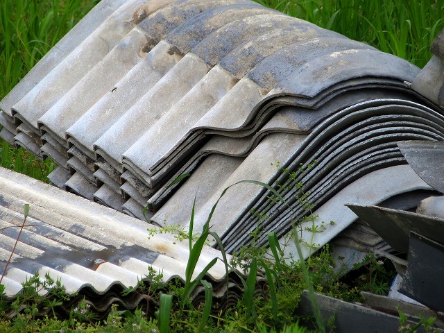 ẪI[I[@Ȃǁ@2025/05/11(1)