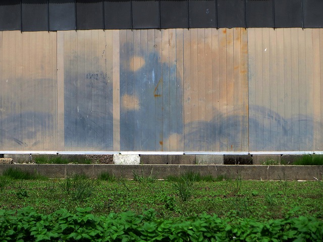 ẪI[I[@Ȃǁ@2025/05/11(2)