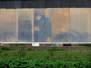 ẪI[I[@Ȃǁ@2025/05/11(2)