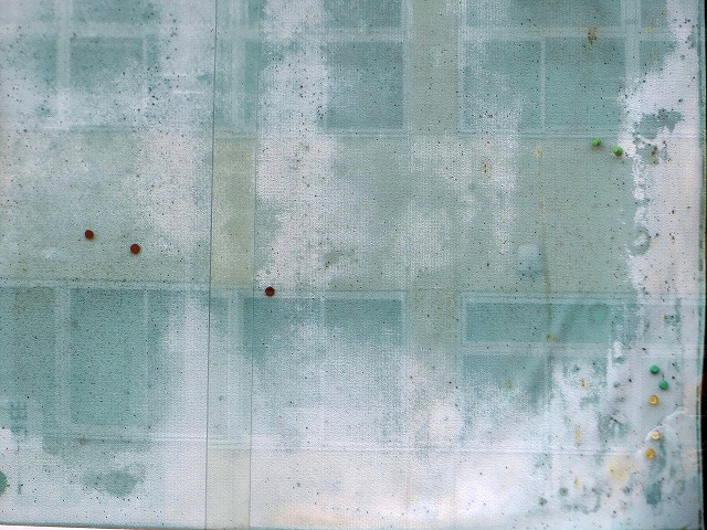 ẪI[I[@Ȃǁ@2025/05/16