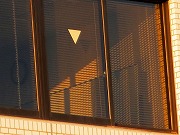 津のオールオーヴァなど　2025/06/05