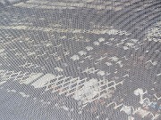 津のオールオーヴァなど　2025/07/23(2)