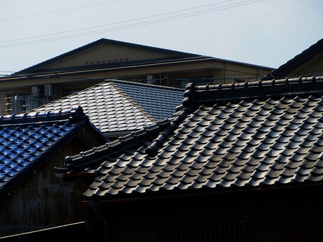 ẪI[I[@Ȃǁ@2025/09/10(2)