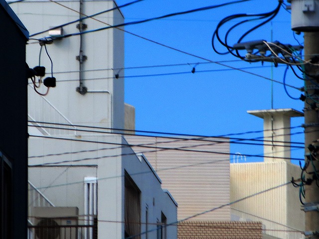 ẪI[I[@Ȃǁ@2025/10/20