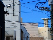 ẪI[I[@Ȃǁ@2025/10/20