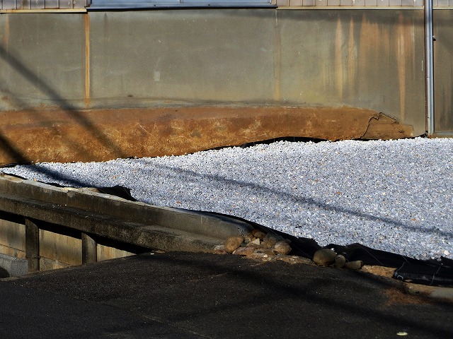 ẪI[I[@Ȃǁ@2025/11/20(1)