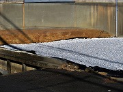 ẪI[I[@Ȃǁ@2025/11/20(1)