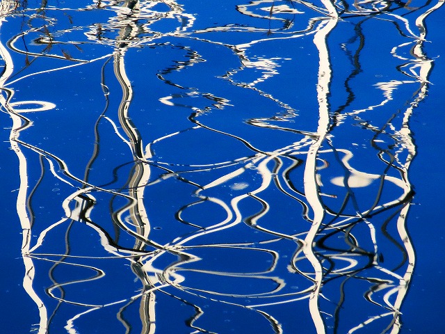 ẪI[I[@Ȃǁ@2025/11/20(2)