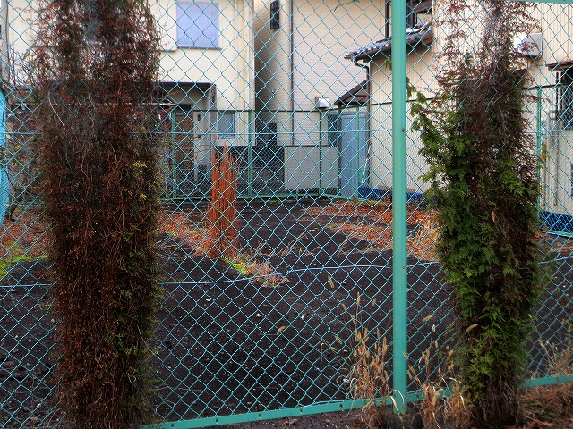 �ẪI�[���I�[���@�Ȃǁ@2025/12/29