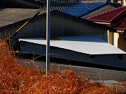 �ẪI�[���I�[���@�Ȃǁ@2026/01/19(1)