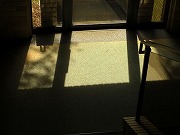 �ẪI�[���I�[���@�Ȃǁ@2026/09/05(1)