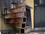 Â̊KiȂǁ@2025/05/11(1)