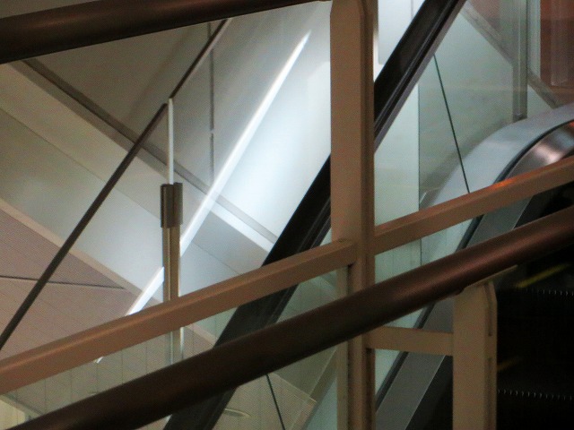 Â̊KiȂǁ@2025/06/14(2)