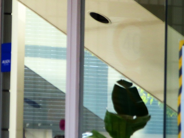 �Â̊K�i�Ȃǁ@2026/01/15