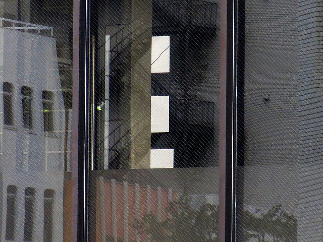 �Â̊K�i�Ȃǁ@2026/09/25(1)
