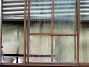 津の格子など　2025/06/04
