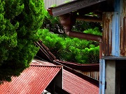 Â̊iqȂǁ@2025/07/12