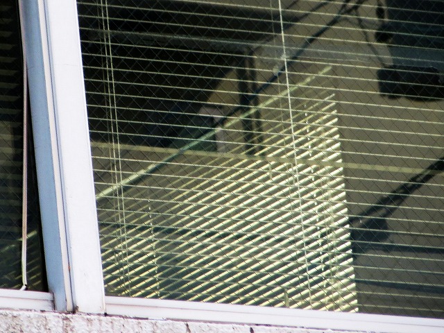 Â̊iqȂǁ@2025/10/20(1)