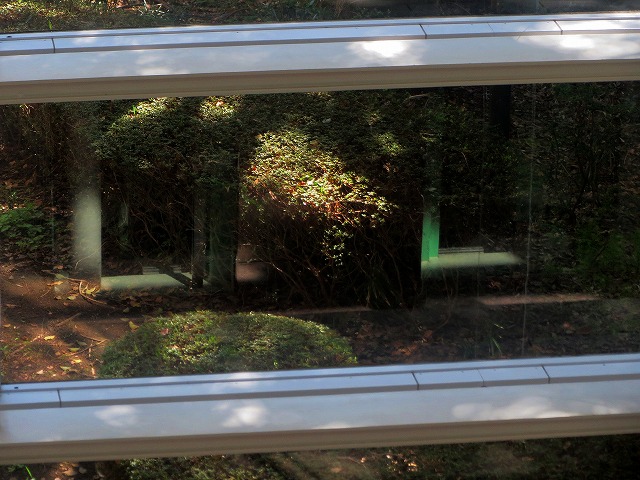 �Â̊i�q�Ȃǁ@2026/03/21(1)