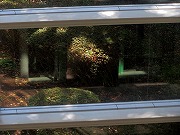 �Â̊i�q�Ȃǁ@2026/03/21(1)