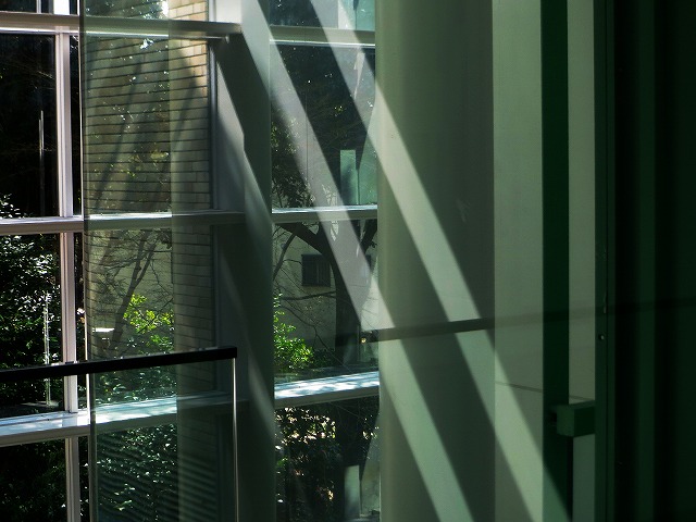 �Â̊i�q�Ȃǁ@2026/03/21(2)