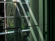 津の格子など　2026/03/21(2)