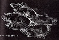レオナルド・サスキンド、林田陽子訳、『宇宙のランドスケープ　宇宙の謎にひも理論が答えを出す』、日経BP社、2006、p.380「カラビ・ヤウ多様体の一部」